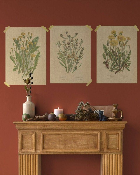Flax Art Poster | Encyclopedia Wildflower C | FWP-AP-EN1C